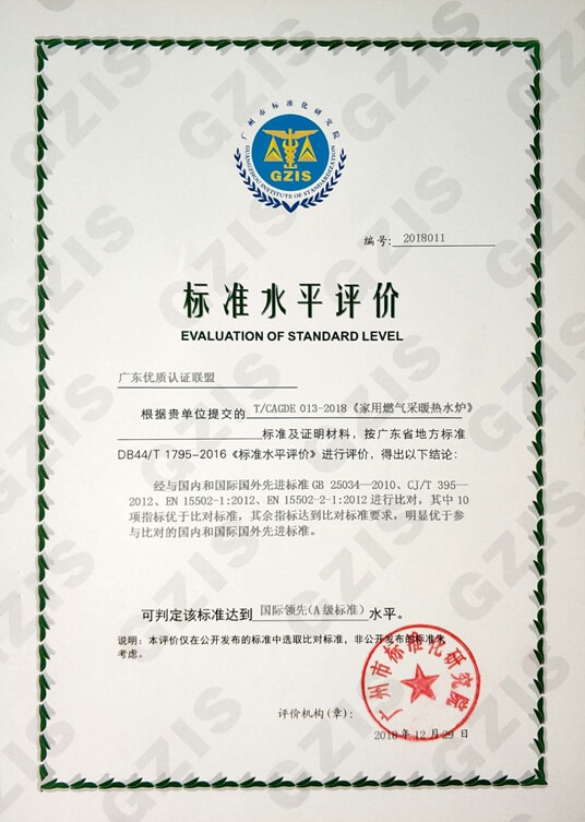 國際領先（A級標準）評價